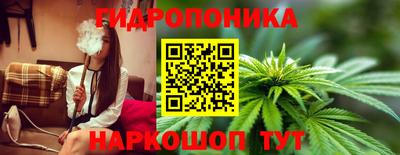 стафф Новокубанск
