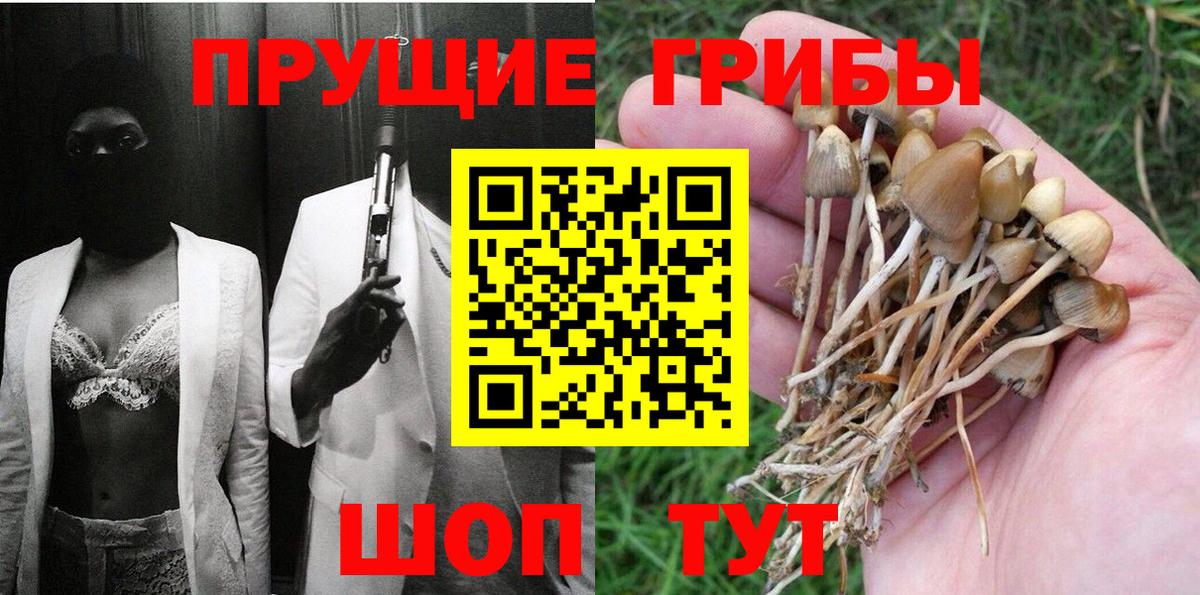 Псилоцибиновые грибы мицелий Троицк