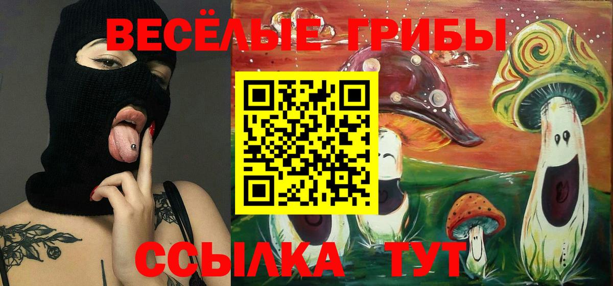 Псилоцибиновые грибы MAGIC MUSHROOMS  Вход с VPN  Троицк  Галлюциногенные грибы Cubensis 